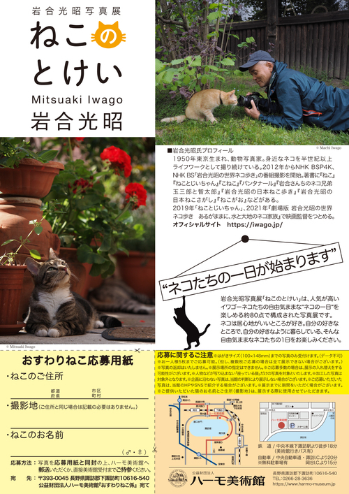 チラシ裏_wED.jpg