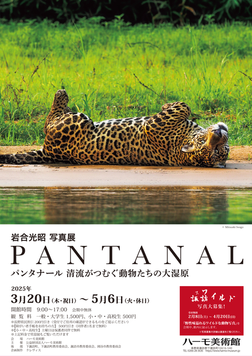 岩合光昭 写真展「PANTANAL -パンタナール 清流がつむぐ動物たち